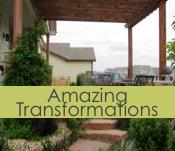 Amazing Landscape Transformations