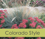 Colorado Landscape Style
