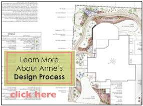 Landscape Design Process with Anne Clark
